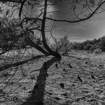 Ombre et lumière - Lacanau Océan, France : Poster sous verre, cadre en alu noir, passe-partout blanc 3cm, dim. avec cadre 40 x 50 cm