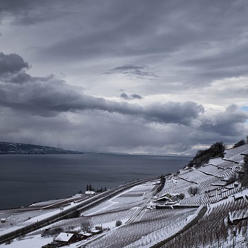 Lavaux sous la neige