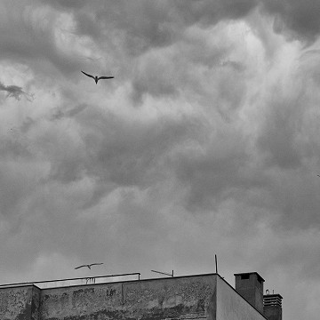 L'air du temp I, Zadar Croatie