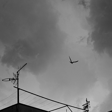 L'air du temp II, Zadar Croatie