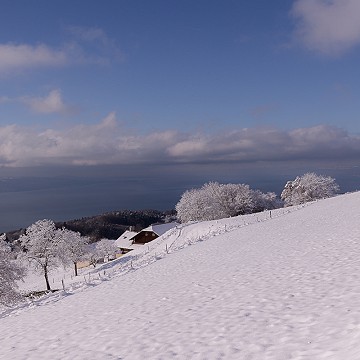 Bel hiver 2 , Le Mont-Pèlerin