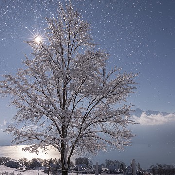 Bel hiver, Le Mont-Pèlerin