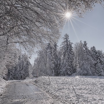 Bel hiver 3, Le Mont-Pèlerin