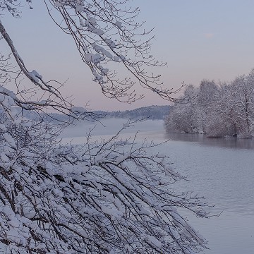 L'hiver au Lac de Bret