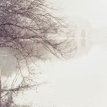 Lac de Bret atmosphère, Puidoux