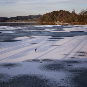 Janvier au Lac de Bret