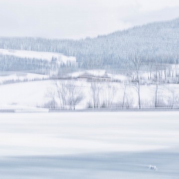 Pastel d'hiver III, Lac de Bret Puidoux