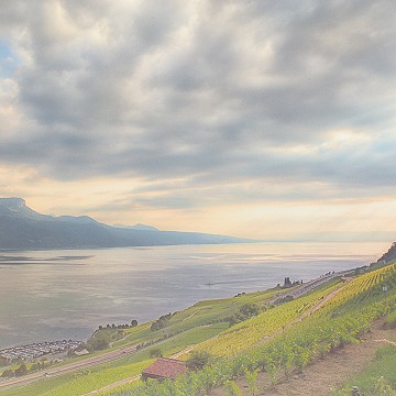 Comme un tableau, riviera vaudoise