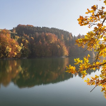 Couleur d'automne I (en stock sur ma boutique en ligne)