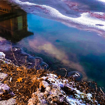 Lac de Bret - miroir, Puidoux