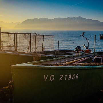 Les bords du Léman, Paudex