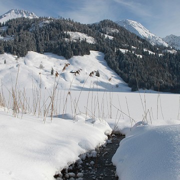 Paysage hivernal, Lac Noir canton de Fribourg
