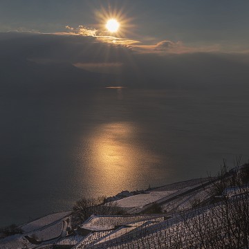 Les 3 soleils de Lavaux
