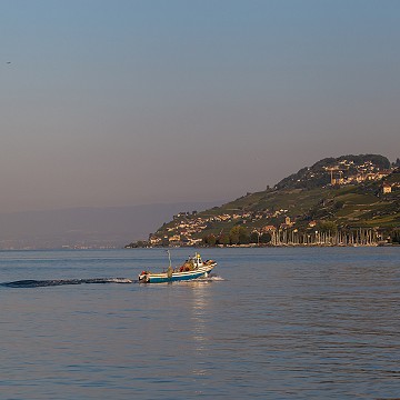 Retour de pêche, Vevey