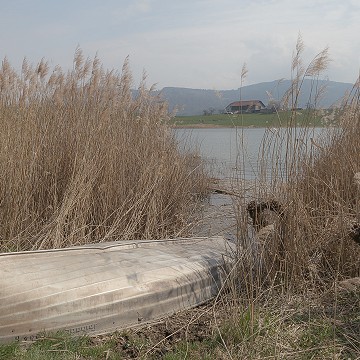 Sur les berges du lac de Bret, Puidoux