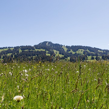 Région Gstaad, Berne
