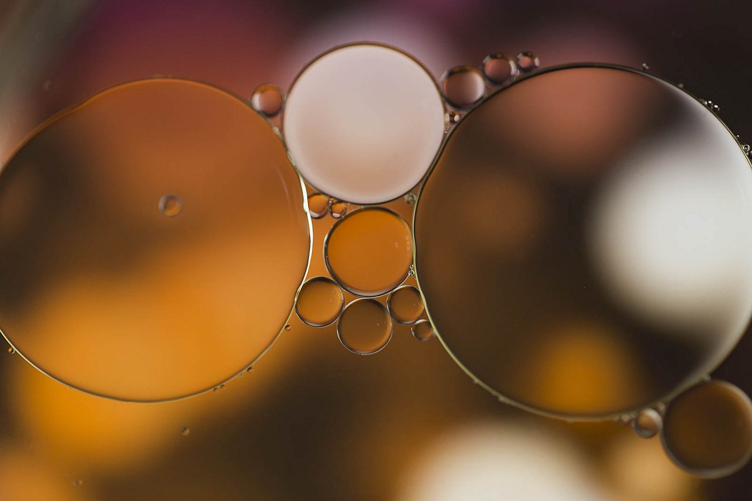 Liquid'Art - III | 02092017-_MG_7697-Modifier.jpg