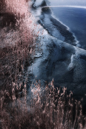 Réserve des grangettes - abstrait