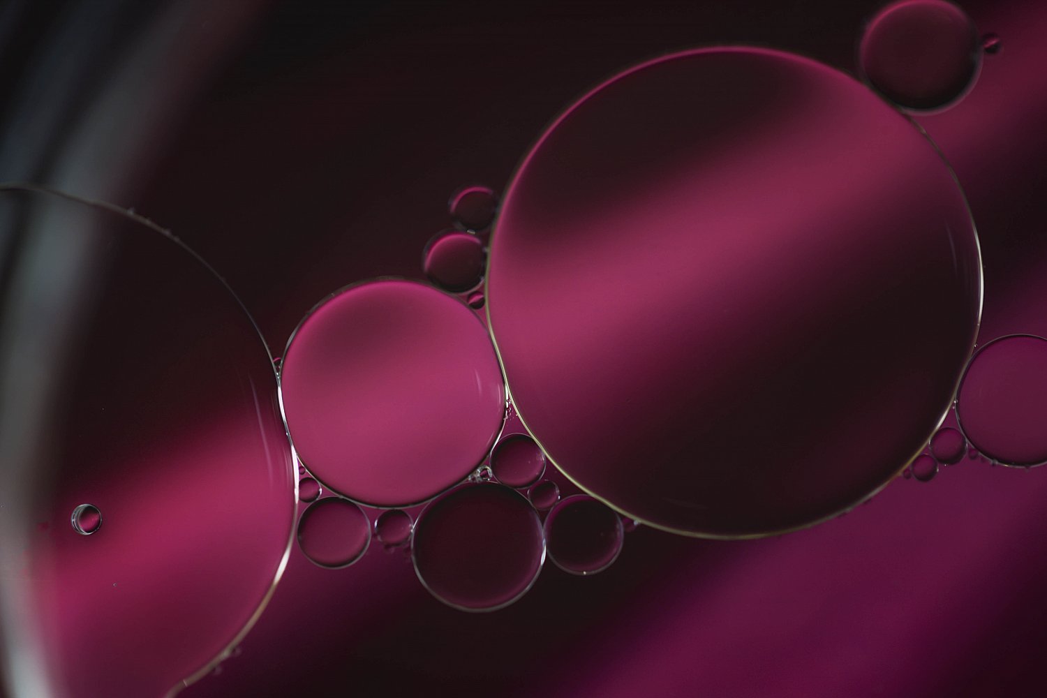 Liquid'Art  | _MG_7702-Modifier-Modifier.jpg