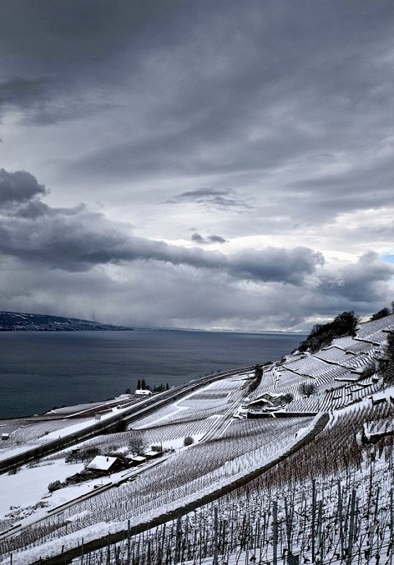 Lavaux sous la neige | Manteau_dhiver.jpg