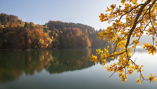 Couleurs d'automne I, Au bord du lac de Gruyère