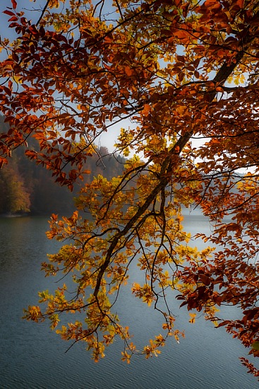Couleurs d'automne II, Au bord du lac de Gruyère