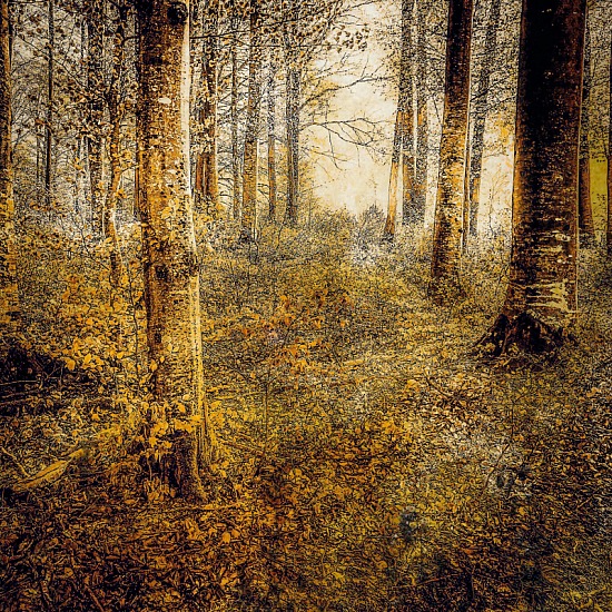 Couleurs d'automne