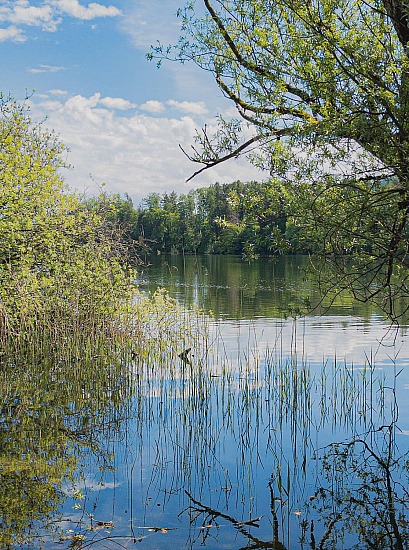 Lac de Bret, le printemps